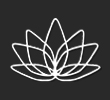 pulse lotus logo design
